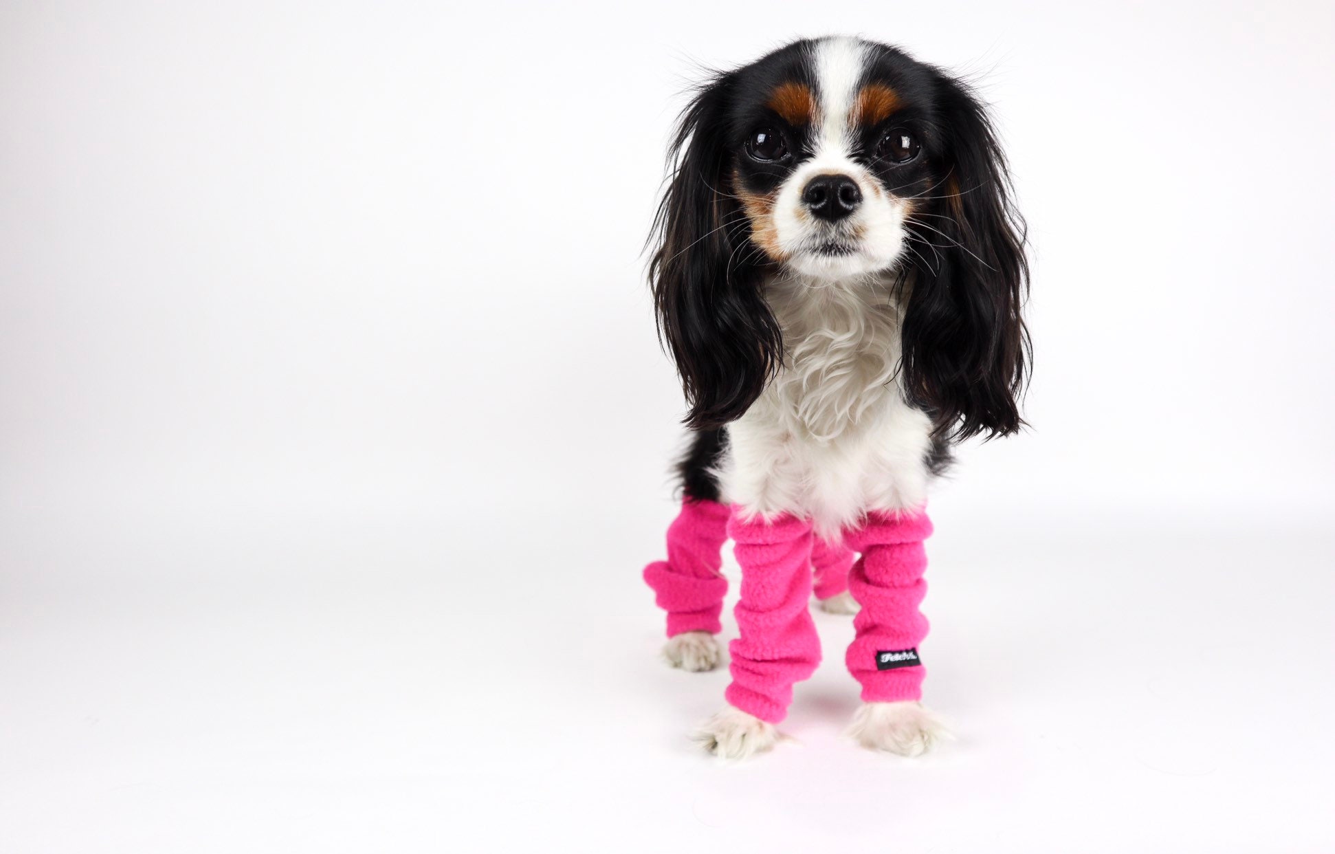 Dog Leg Warmers SET OF 2 FRONT Legs