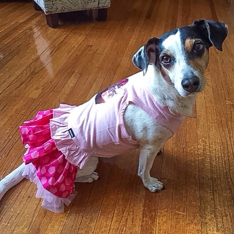 Custom Dog Birthday Dress Etsy