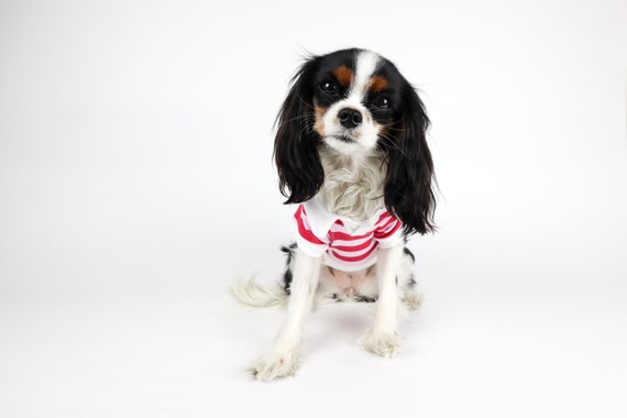 Dog Polo Shirt Solid or Striped Cotton Preppy Cute Tshirt Small Dogs Unisex Free Shipping Etsy Canada