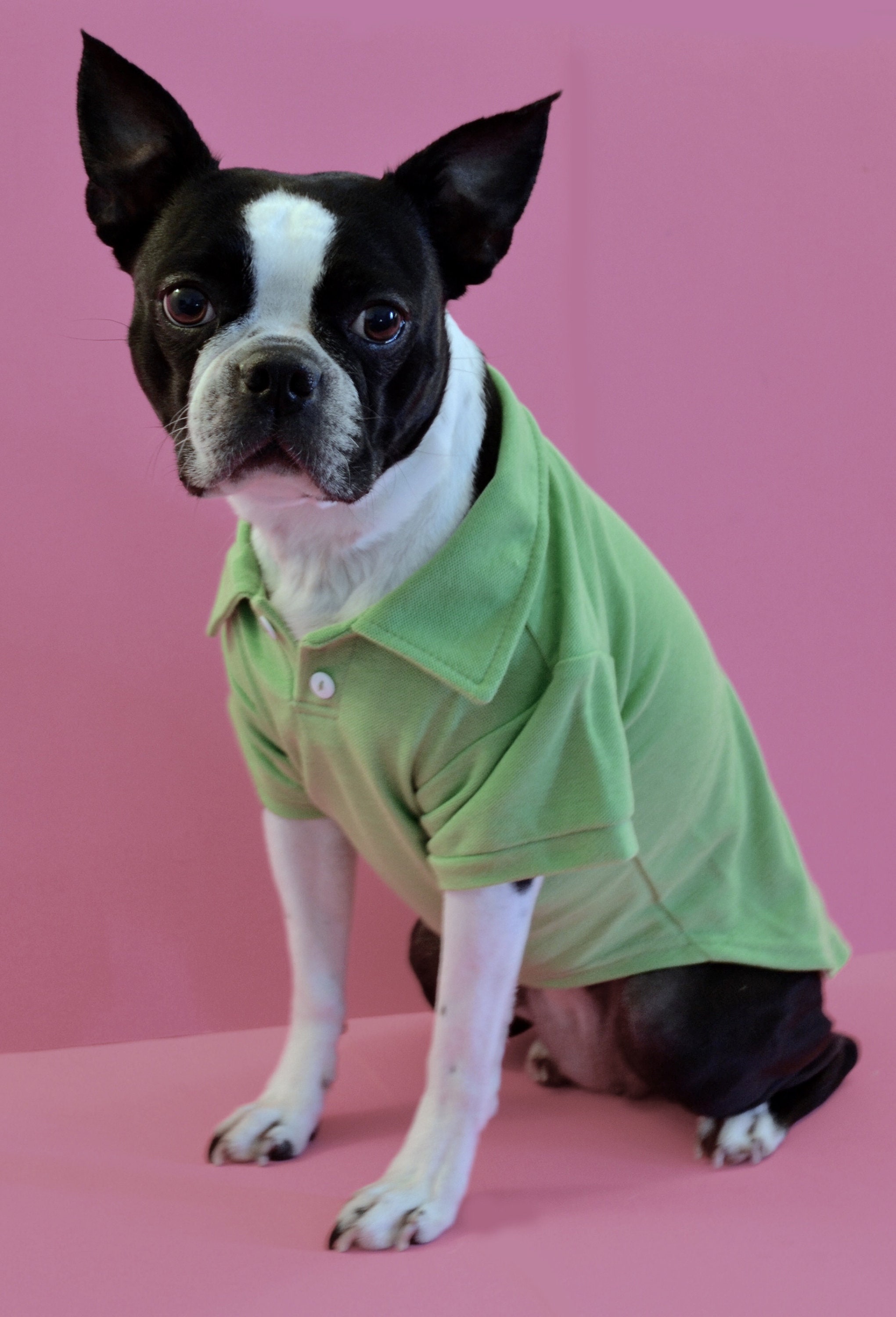 LV Inspired Pet Sporty Polo Dog Clothes Shirt