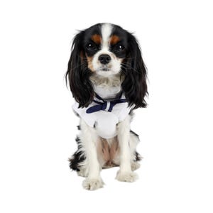 Dog Nautical Sailor Shirt Unisex Tshirt Boating Cute Preppy Top White Navy Blue Free Shipping