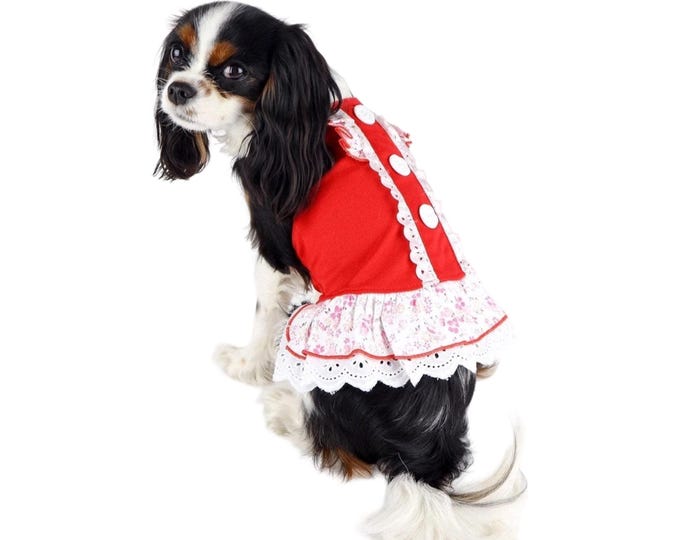 Dog Sun Dress Red White Lace Ruffles Boho Cute Small Dogs Free Shipping