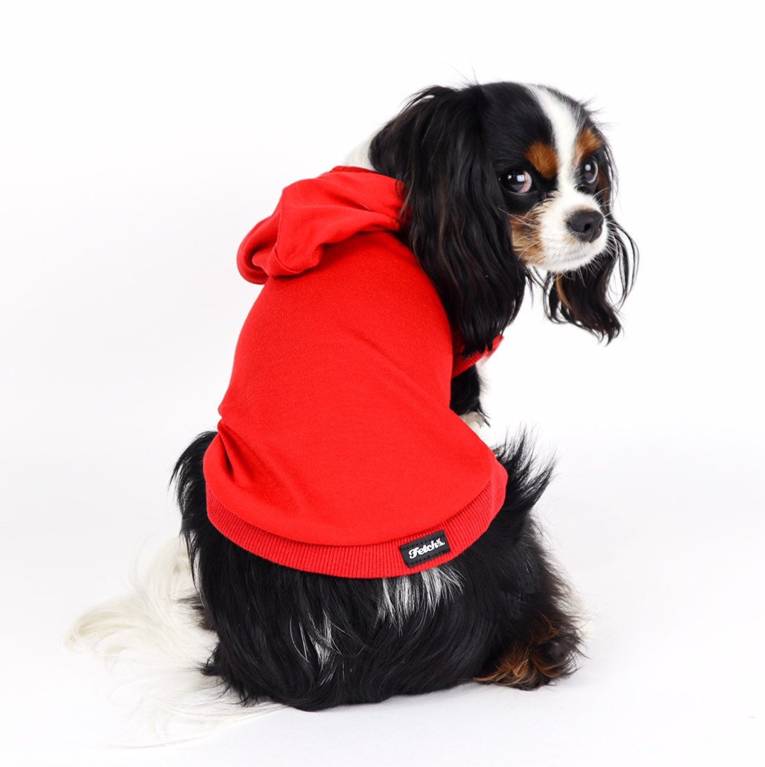 Basic Dog Hoodie Tee Solid Color Everyday Washable Plain Unisex Small ...