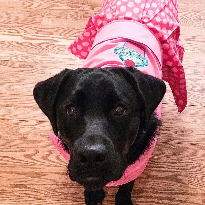 Custom Dog Birthday Dress Etsy