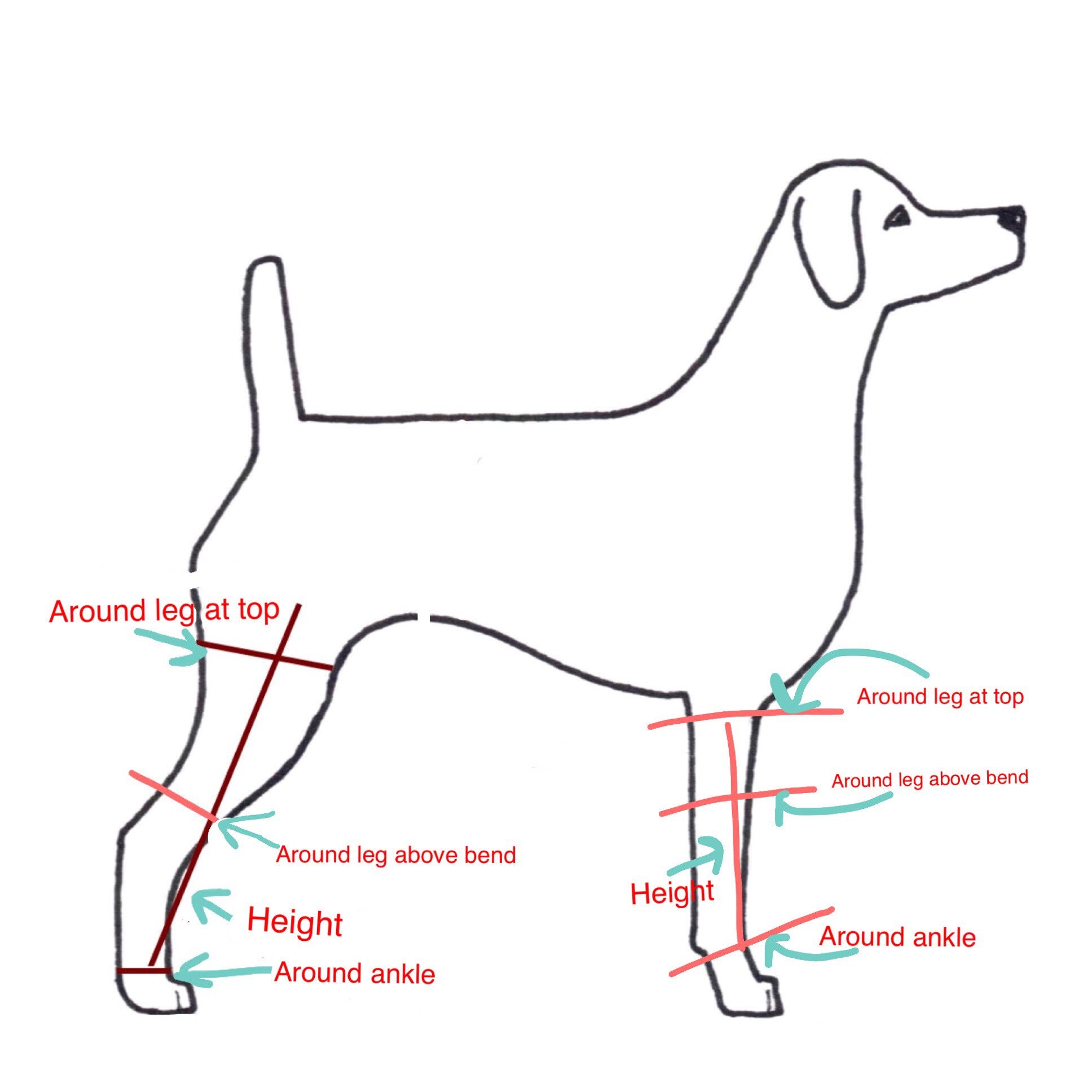 Dog Leg Warmers SET OF 2 FRONT Legs