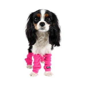 Dog Leg Warmers SET OF 4