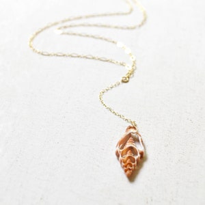 Shell Drop Necklace, Gold Y Necklace, Shell Lariat Necklace, Mitra Shell Necklace