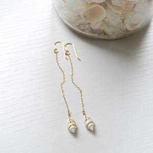 May include: A pair of gold dangle earrings with small white seashells at the end of the chains.