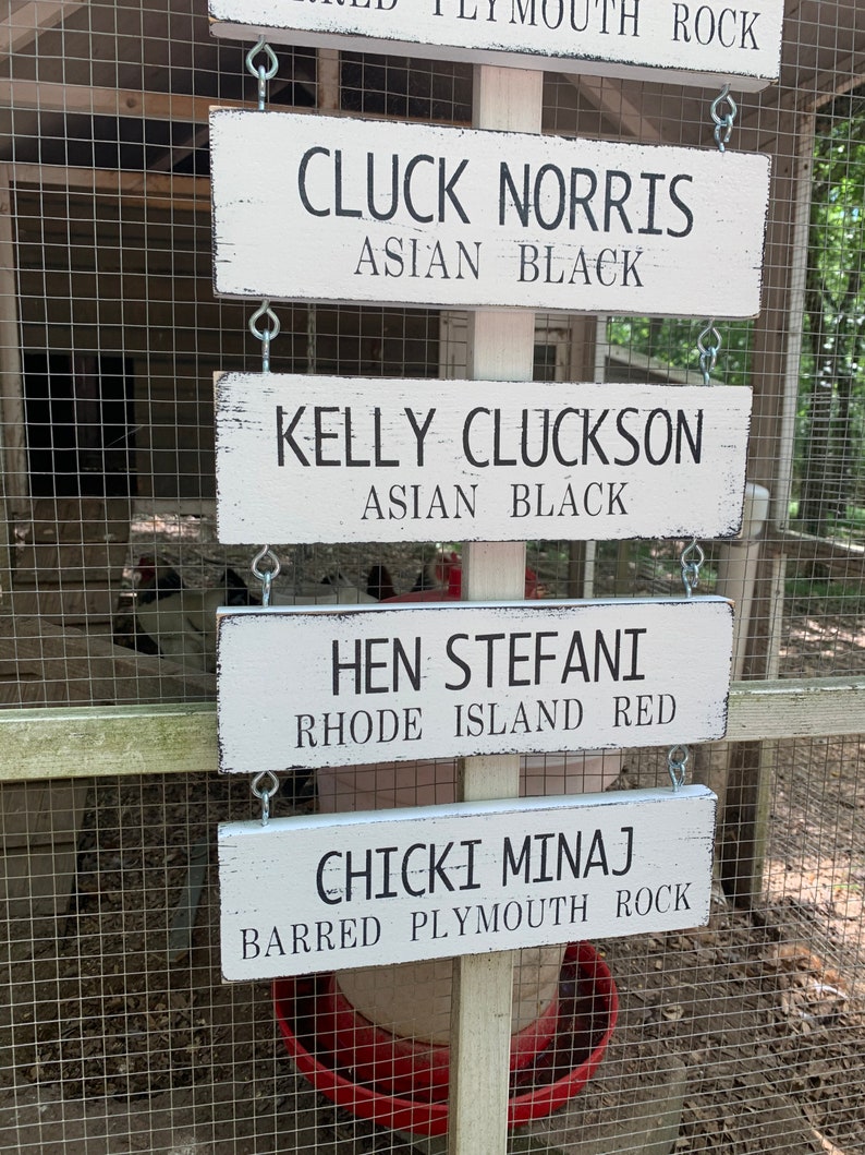 Personalized Chicken Coop Sign Coop Sign Chicken Names Sign Etsy