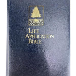 NIV Life Applikationsbibel Blau HB      