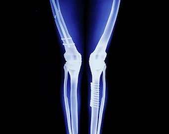 X-Ray Leggings, Glow in The Dark Leggings, Skeleton Leggings, Halloween Leggings, Skull Leggings Women, Halloween Party 2019, Sexy Leggings
