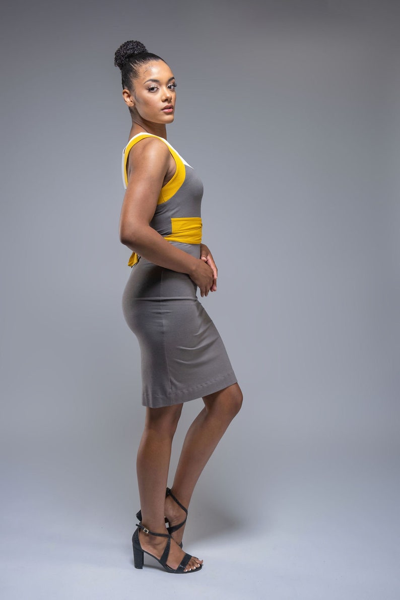 Vida knee length colorblock pencil dress with belt detail image 3