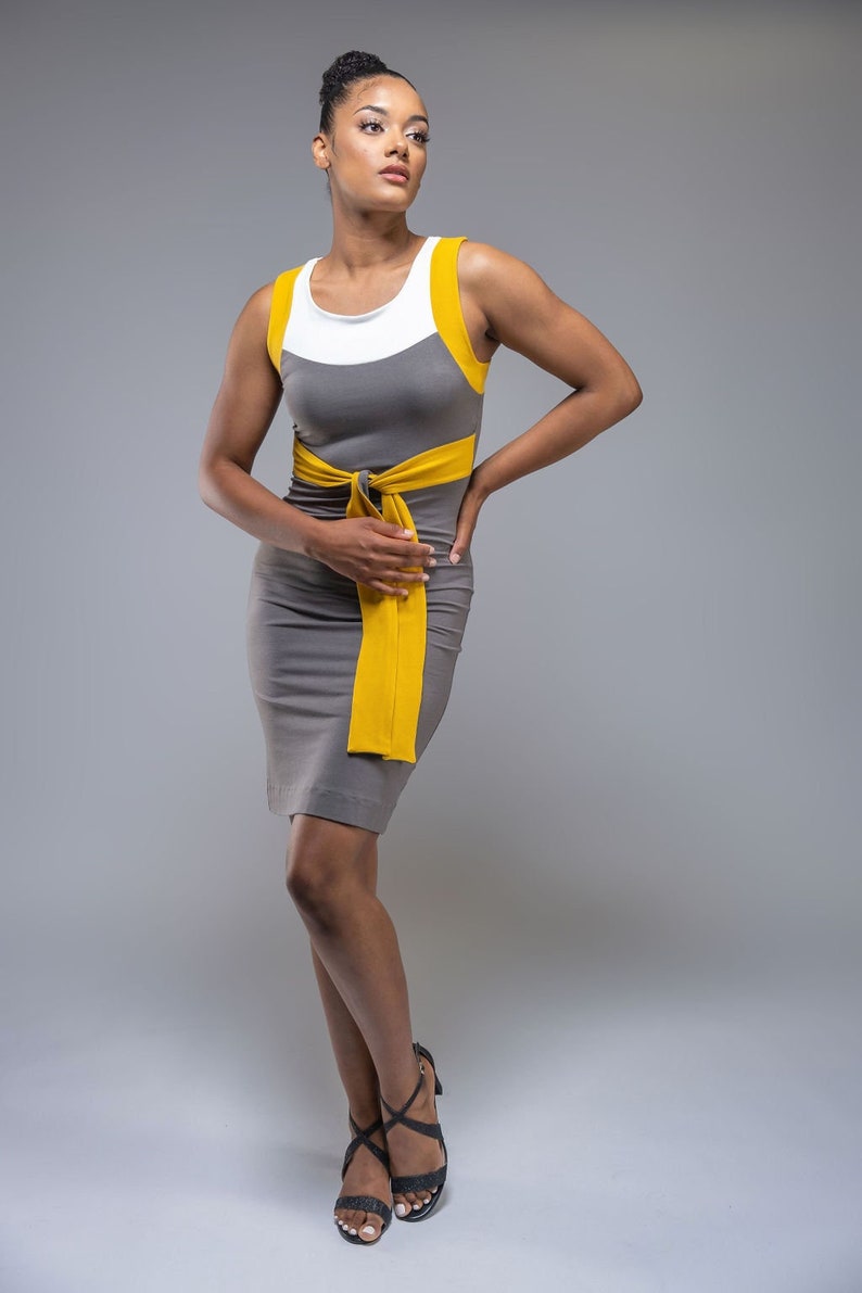 Vida knee length colorblock pencil dress with belt detail image 1