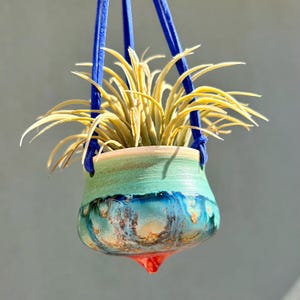 May include: A hanging air plant in a small, hand-painted ceramic pot. The pot is a mix of blue, green, and orange, with a red drop at the bottom. The plant has long, light green leaves, and is suspended by a blue cord.