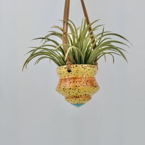 May include: A hanging ceramic planter with a yellow and orange speckled glaze, featuring a pointed turquoise base. The planter is suspended by a brown leather cord and contains a green air plant with thin, spiky, arching leaves.