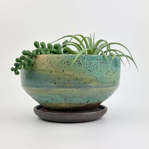 May include: A round ceramic planter with a speckled teal and green glaze, featuring a dark brown base and a matching dark brown saucer. The planter contains a green succulent plant with trailing stems and a spiky air plant with long leaves.