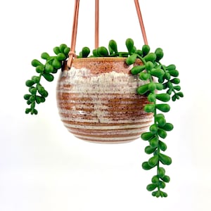 May include: A round ceramic hanging planter with a ribbed texture and a variegated brown and white glaze. The planter is suspended by three thin tan leather straps and contains a trailing green succulent plant with small round leaves.
