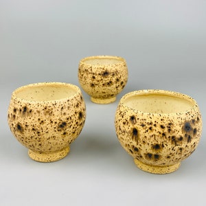 Handmade Ceramic Cup Set: Speckled Sandstone Glaze, Whiskey Tumblers