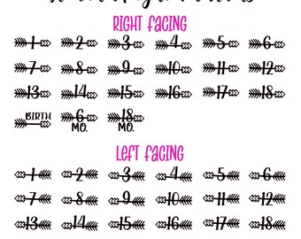 Growth Chart Ruler Arrow Decals: Vinyl Height Markers