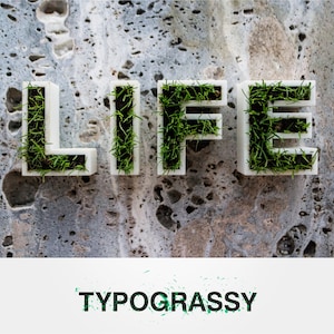 Puede incluir: La palabra "LIFE" escrita en letras blancas con hierba verde creciendo dentro de cada letra. Las letras están sobre un fondo texturizado gris y blanco. El texto "TYPOGRASSY" está escrito en negro con salpicaduras de pintura verde debajo de las letras.