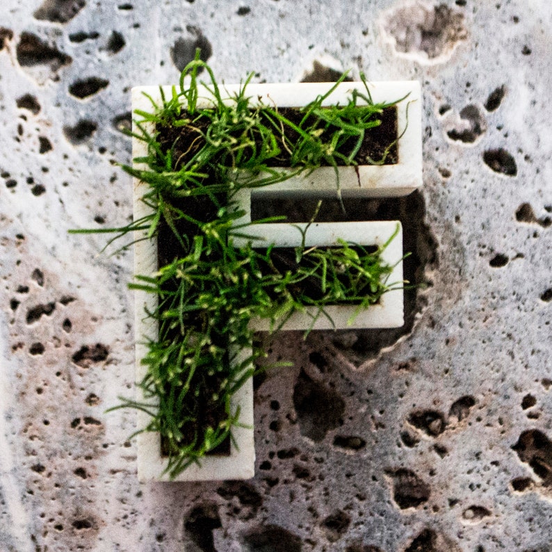 3D Printed letters planters with grass - Typograssy image 6