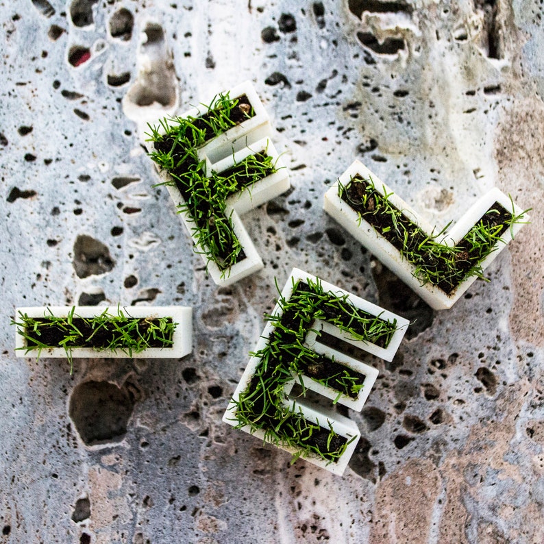 3D Printed letters planters with grass Typograssy image 3