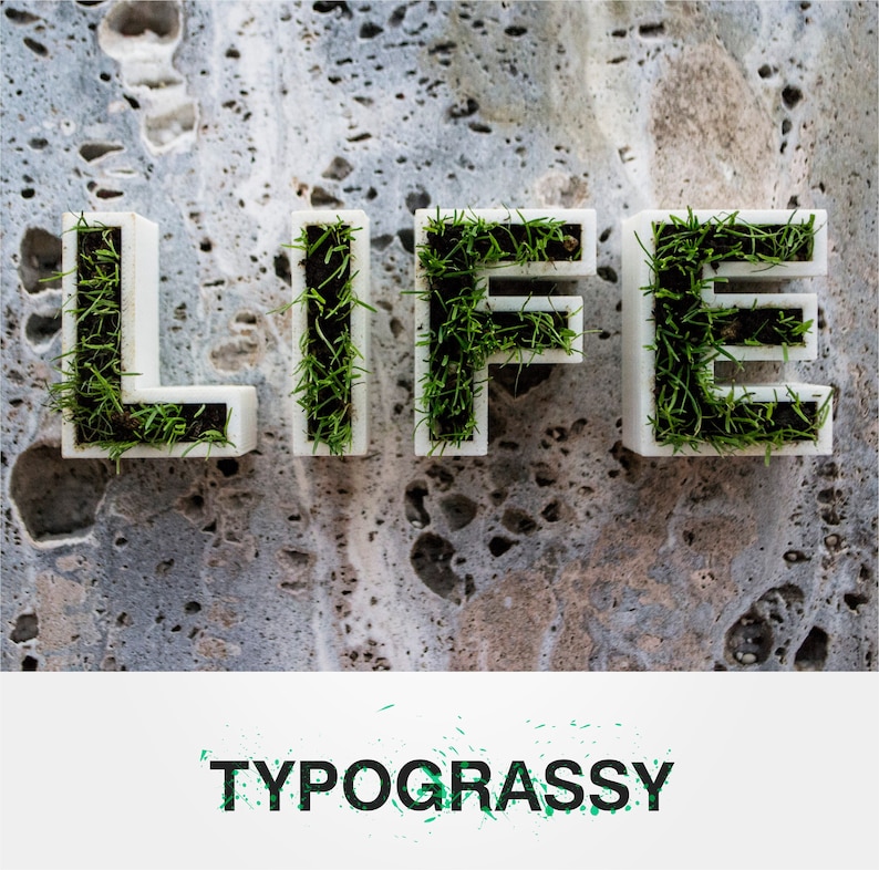 3D Printed letters planters with grass - Typograssy image 1