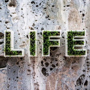 3D Printed letters planters with grass - Typograssy image 5