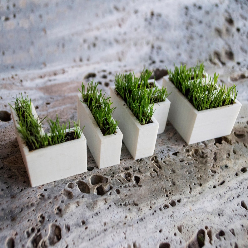 3D Printed letters planters with grass Typograssy image 2