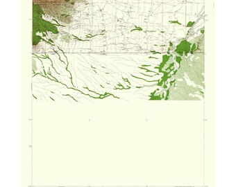 Topographical Map - South West Hereford Arizona Quad - USGS 1952 - Vintage Wall Art