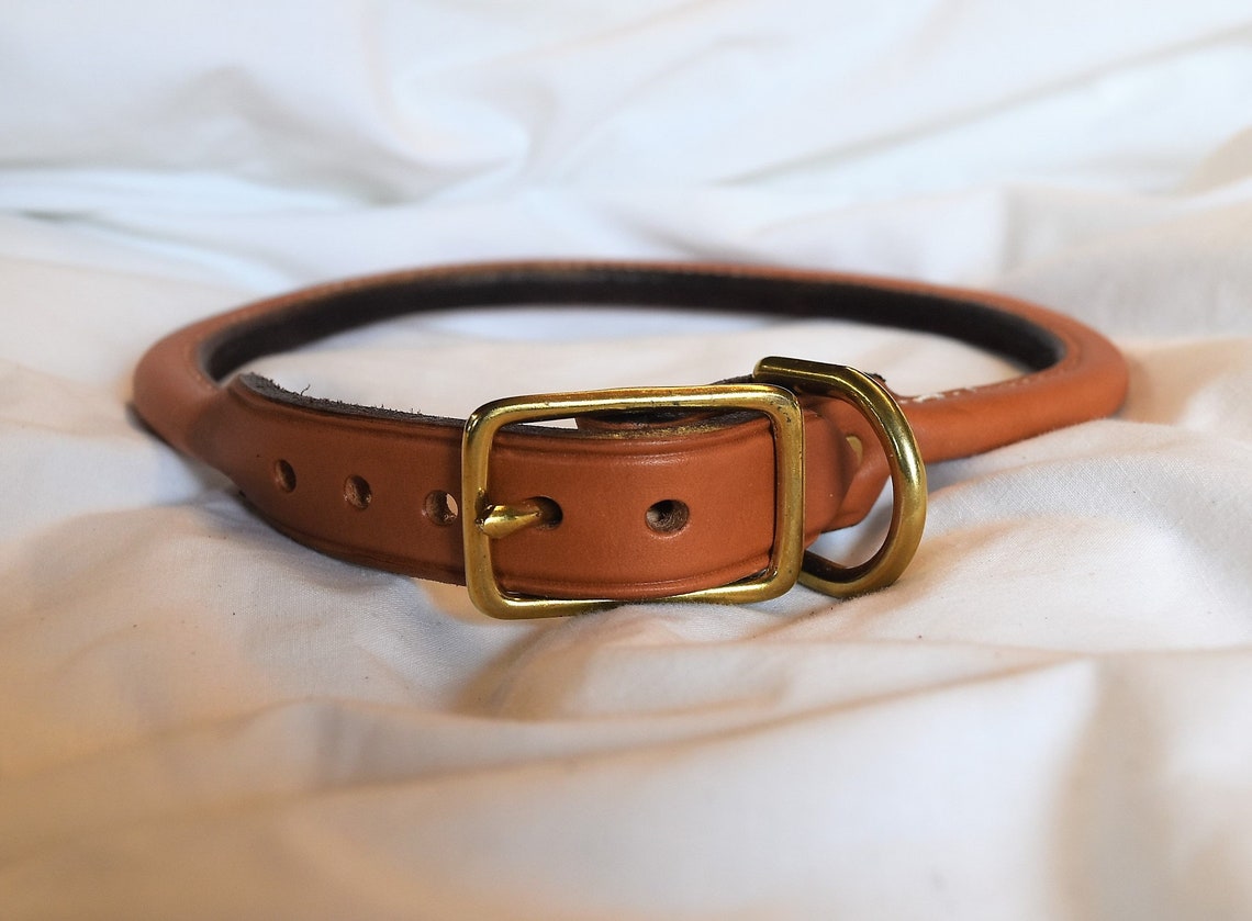 Complete Rolled Dog Collar Etsy