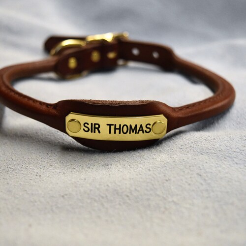 Personalized Rolled Leather Dog Collar With One Brass Tag Etsy