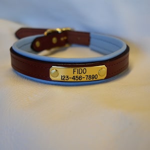 Medium Brown Padded Dog Collar with Nameplate