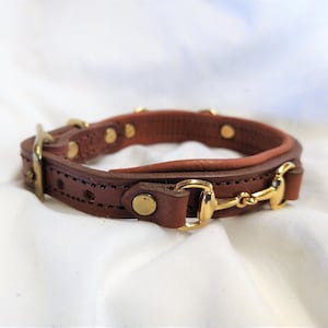 May include: A brown leather collar featuring a gold-toned metal bit-style centerpiece, a matching gold-toned buckle, and circular metal rivets. The collar is constructed with stitched edges and a padded inner lining for a structured appearance.