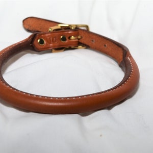 Complete Rolled Dog Collar