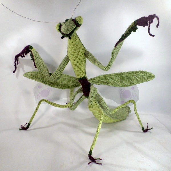 PATTERN: Praying Mantis // Instant PDF Download //DIY // Kid gift // Classroom Aid // BugLover // Make your own // Conservation // Education