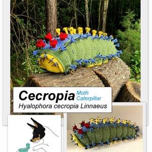 PATTERN: Cecropia Moth Caterpillar Crochet Pattern // later instar // Instant PDF Download //DIY //Bug Lovers // Make your own // Insect image 5