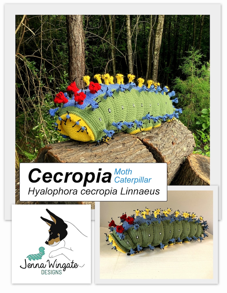 PATTERN: Cecropia Moth Caterpillar Crochet Pattern // later instar // Instant PDF Download //DIY //Bug Lovers // Make your own // Insect image 5