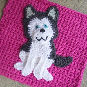 May include: A crocheted square with a white husky dog applique. The dog has black and gray fur, blue eyes, and a pink nose. The square is a bright pink color.