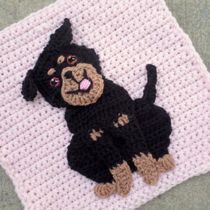 Może przedstawiać: Szydełkowy pies rasy Rottweiler w kolorze czarnym i brązowym siedzący na r&oacute;żowym kwadracie szydełkowym.