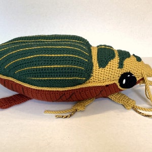 PATTERN: Great Diving Beetle Dytiscus marginalis Instant PDF download Crochet a Diving Beetle Stuffie for your favorite bug lover image 5