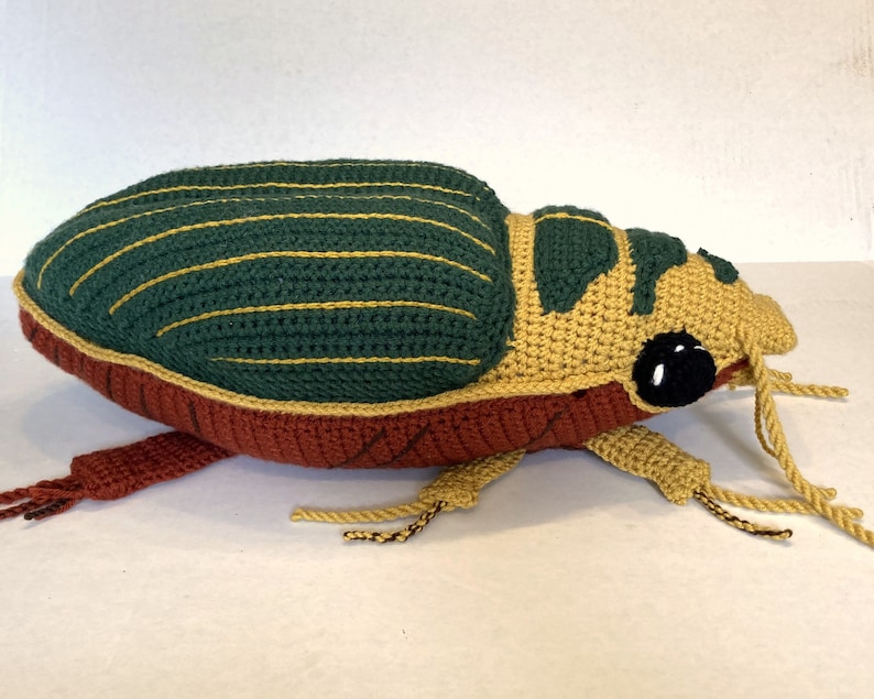 PATTERN: Great Diving Beetle Dytiscus marginalis Instant PDF download Crochet a Diving Beetle Stuffie for your favorite bug lover image 5