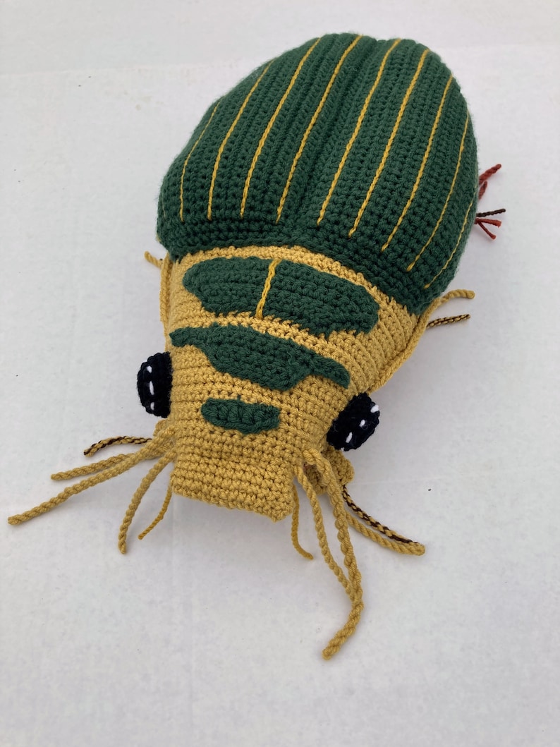 PATTERN: Great Diving Beetle Dytiscus marginalis Instant PDF download Crochet a Diving Beetle Stuffie for your favorite bug lover image 8