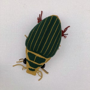 PATTERN: Great Diving Beetle Dytiscus marginalis Instant PDF download Crochet a Diving Beetle Stuffie for your favorite bug lover image 9