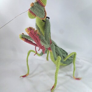 May include: A handmade crochet praying mantis in shades of green, pink, and yellow. The insect has detailed features, including large eyes, spiky legs, and outstretched arms. The crochet work is intricate, showcasing the texture and form of the insect.