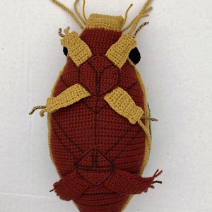 PATTERN: Great Diving Beetle Dytiscus marginalis Instant PDF download Crochet a Diving Beetle Stuffie for your favorite bug lover image 10