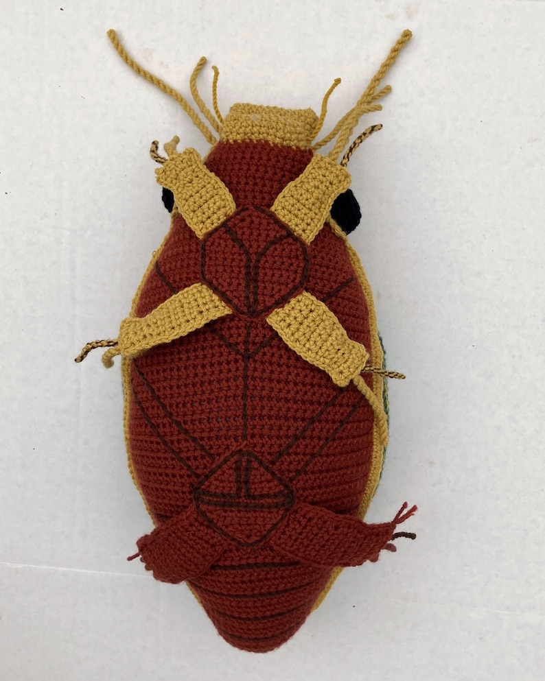 PATTERN: Great Diving Beetle Dytiscus marginalis Instant PDF download Crochet a Diving Beetle Stuffie for your favorite bug lover image 10