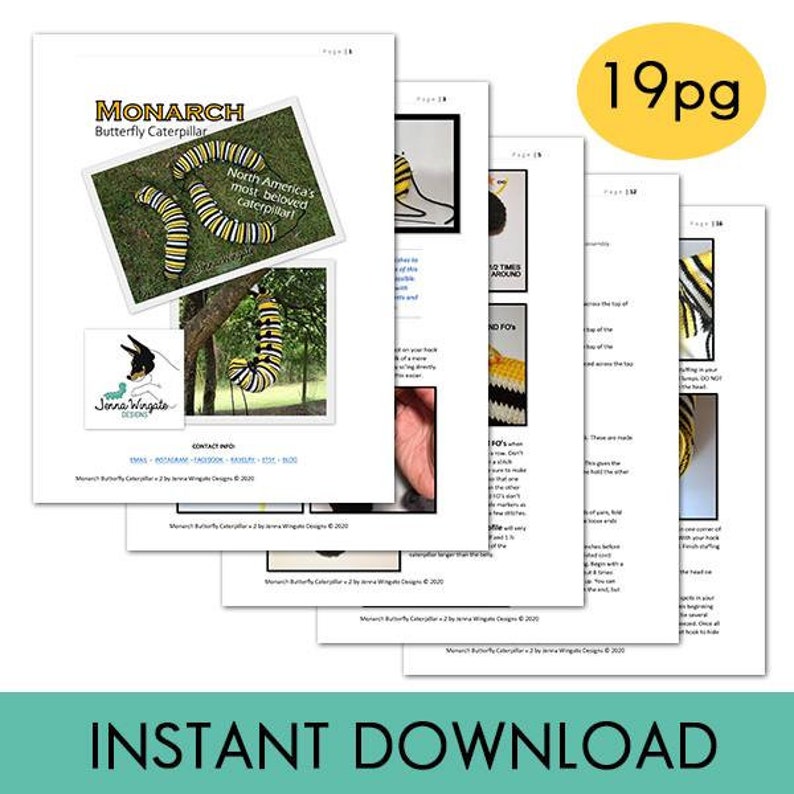 PATTERN: Monarch Butterfly Caterpillar Crochet Pattern // 2020 version // Instant PDF Download //DIY //Bug Lovers // Make your own // Insect image 4