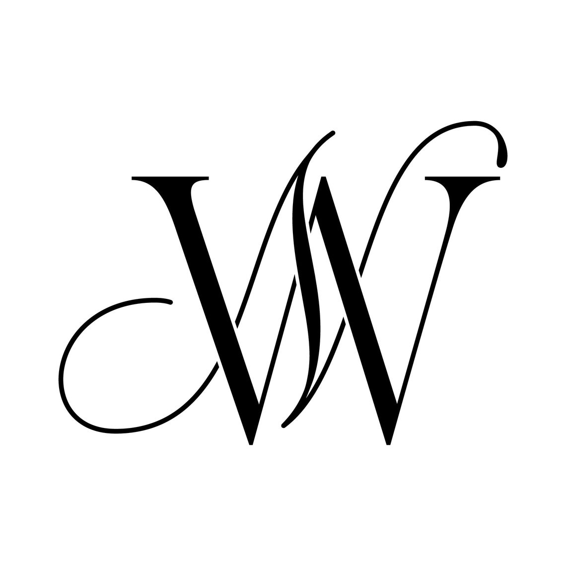 Calligraphy Logo Boutique Logo Design Business Logo NW WN - Etsy