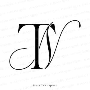 Name Initials Logo, Company Initials Logo, Monogram Logo, NT, TN